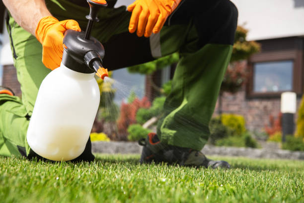 Best Pest Control for Businesses  in Dakota City, NE