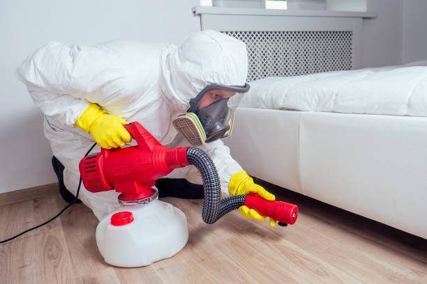 Best Affordable Pest Control Services  in Dakota City, NE